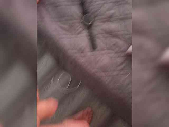 Maks18plysRUS Sex Cam Show