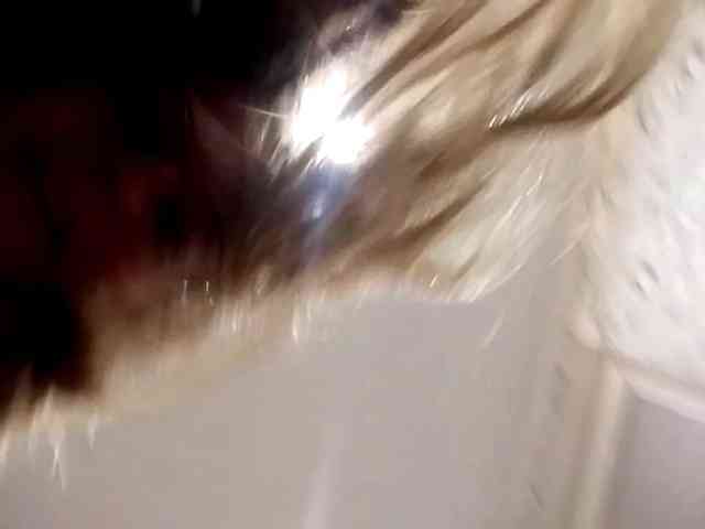GertudeGilligan webcam