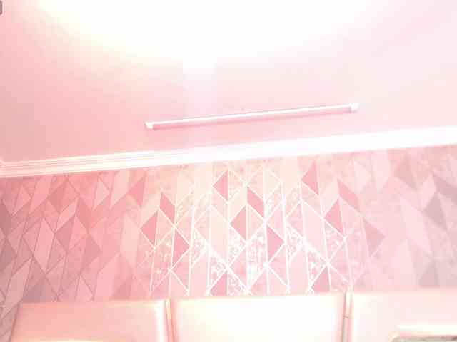 StaicyLee webcam