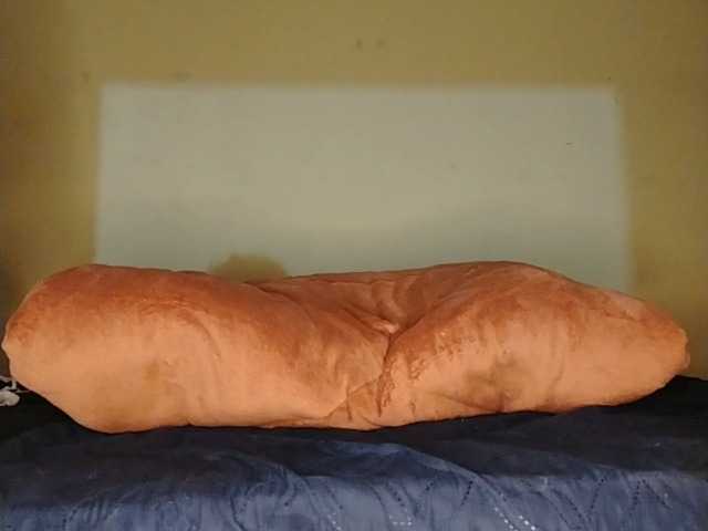 Hot-Contrasts live cam on BongaCams