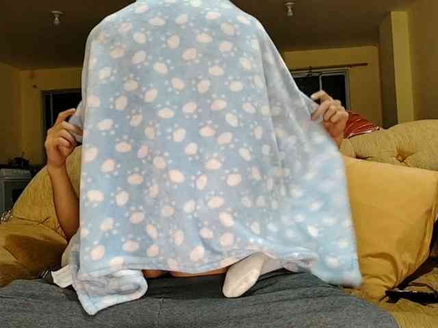 Mindymiaw webcam