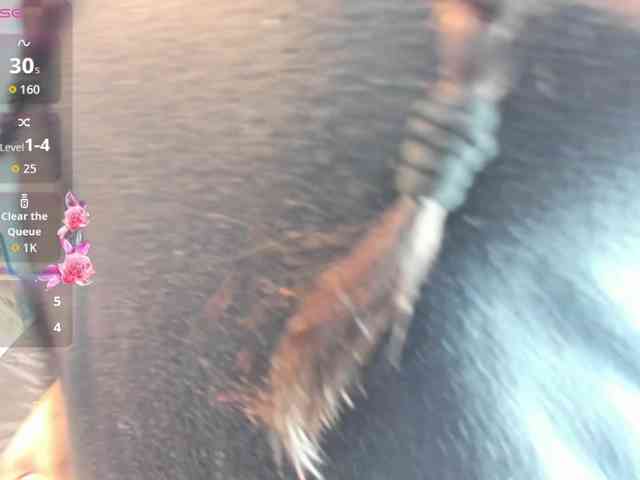 RachelSwetty2 webcam