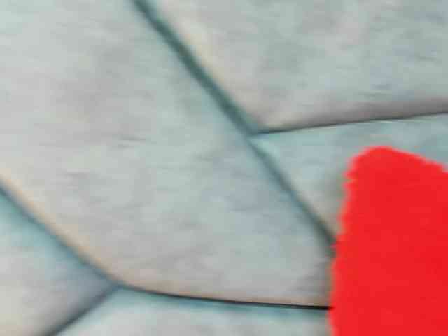 RachelSwetty2 RachelSwetty2