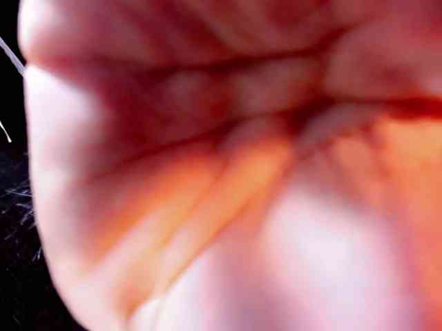 CALLMEATENEA