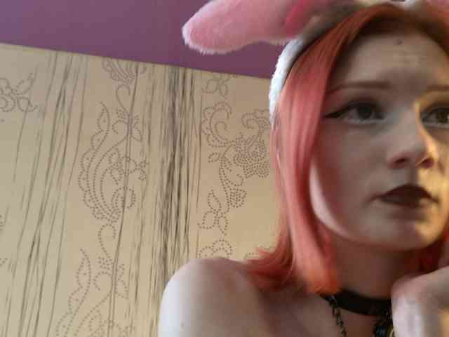 Iriska-Barbariska webcam