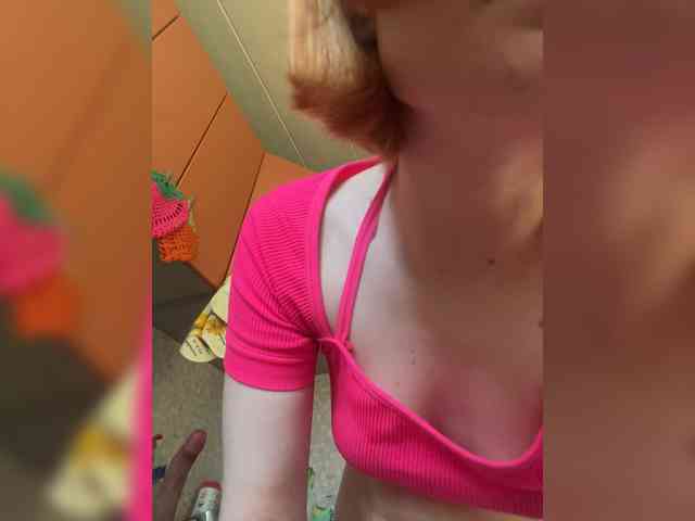 Iriska-Barbariska webcam