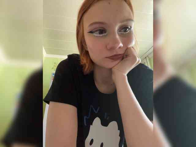 Iriska-Barbariska webcam