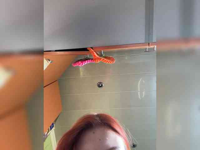 Iriska-Barbariska webcam