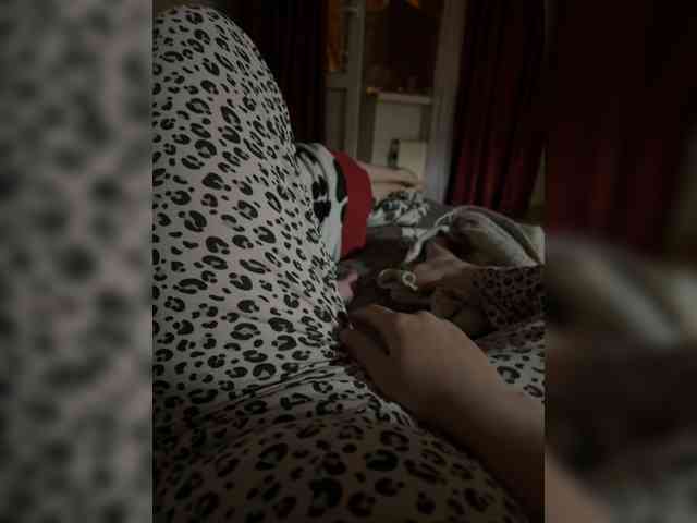 soln8shki