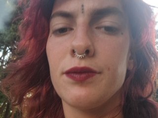 WildVixen Porn Show