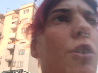 WildVixen Porn Show