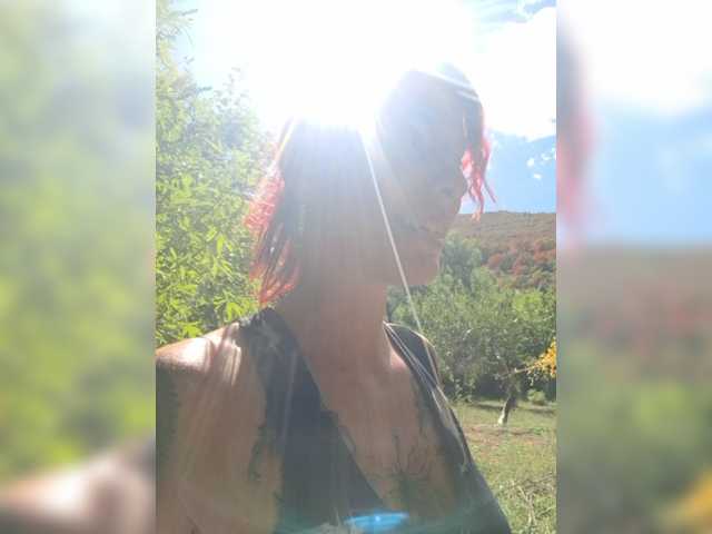 WildVixen