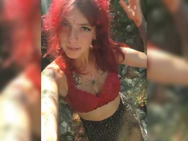 WildVixen live cam on BongaCams