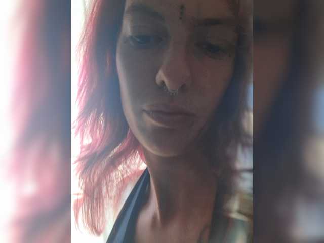 WildVixen