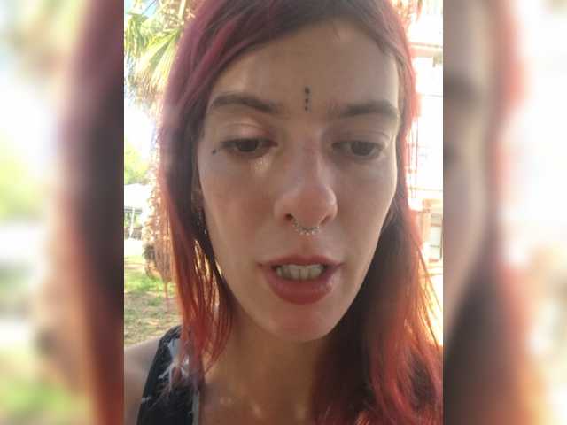 WildVixen
