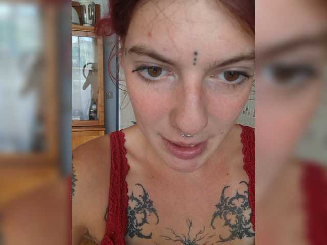 WildVixen