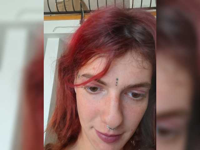 WildVixen