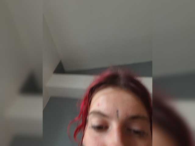 WildVixen