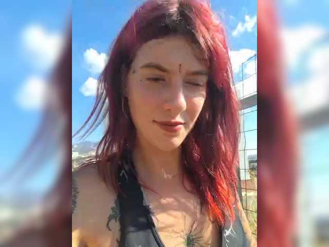 WildVixen