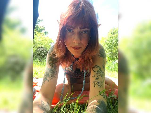 WildVixen