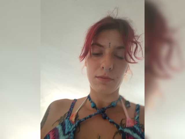 WildVixen