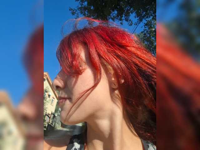 WildVixen