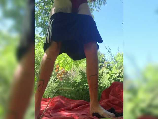 WildVixen