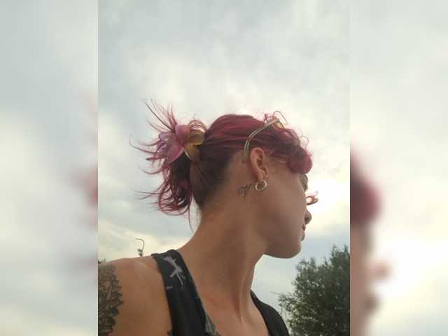 WildVixen