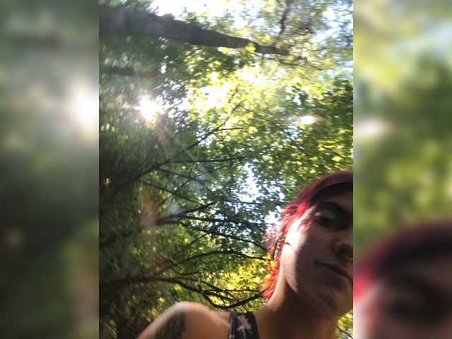 WildVixen