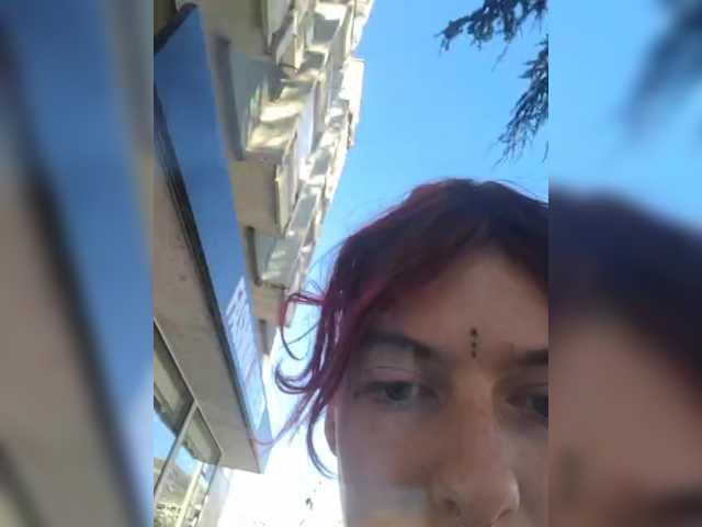 WildVixen