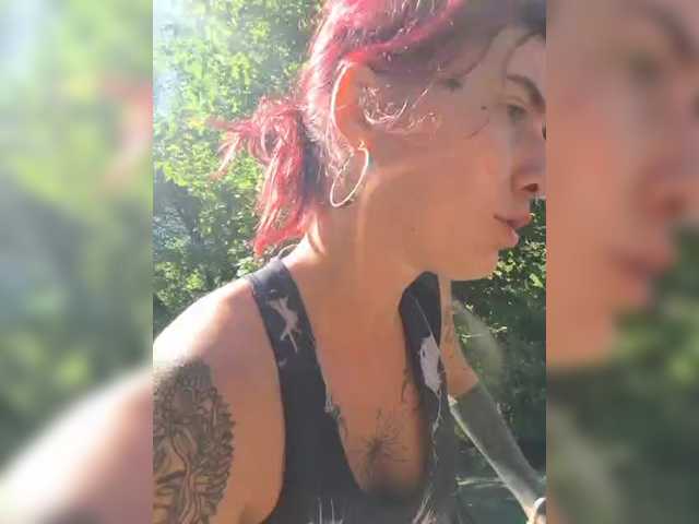 WildVixen