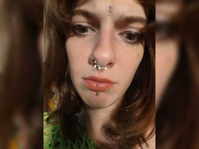 WildVixen