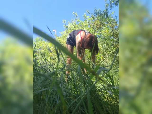 WildVixen