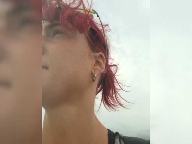 WildVixen