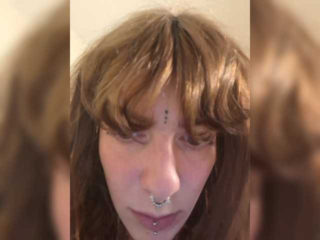 WildVixen live cam on BongaCams