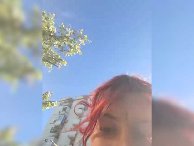 WildVixen