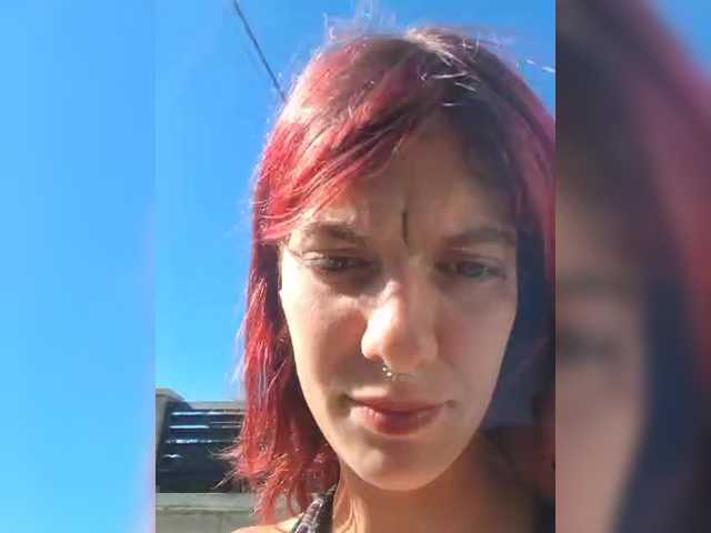 WildVixen — live female cam
