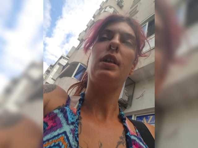 WildVixen