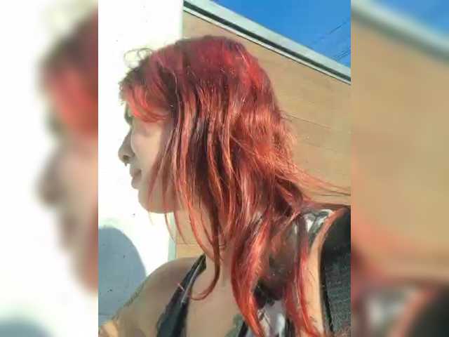 WildVixen