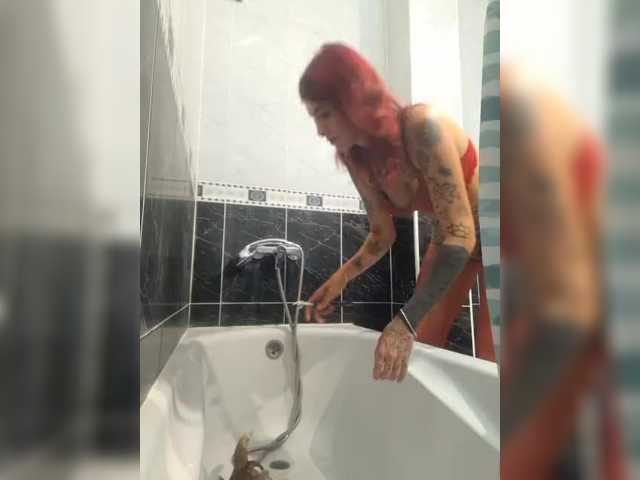 WildVixen
