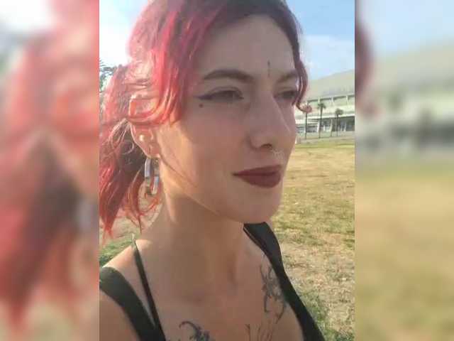 WildVixen