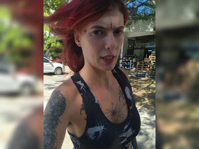 WildVixen