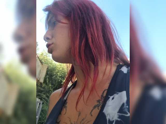 WildVixen