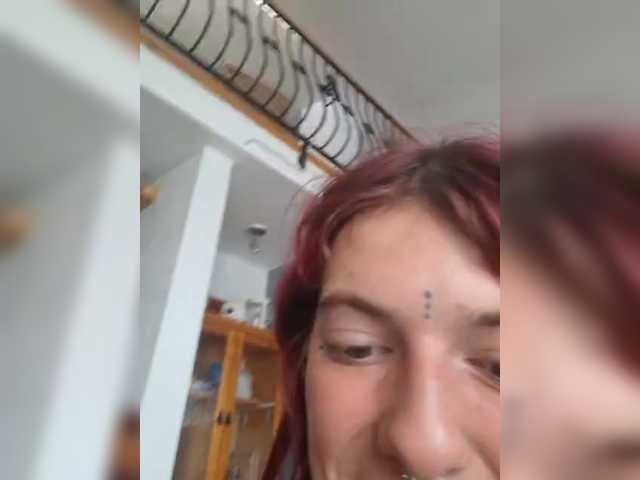 WildVixen
