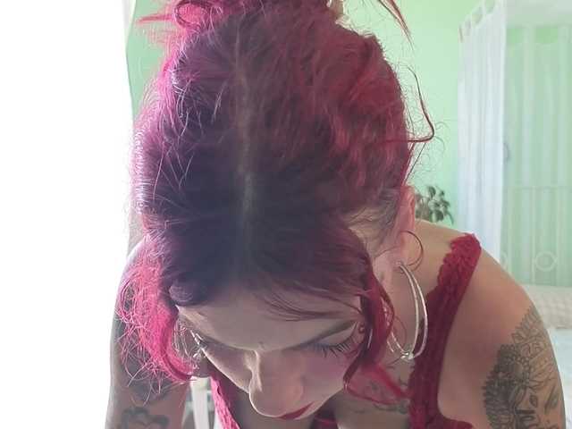 WildVixen
