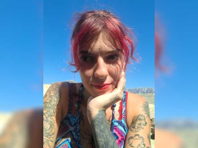 WildVixen