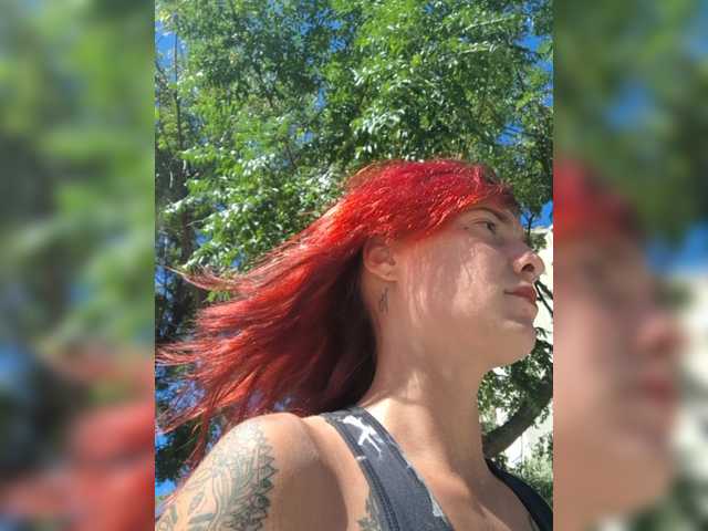 WildVixen