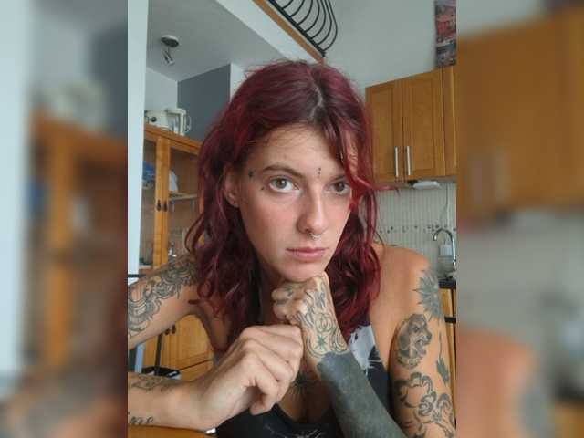 WildVixen live cam