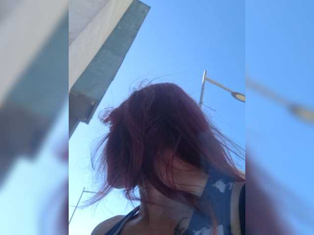 WildVixen