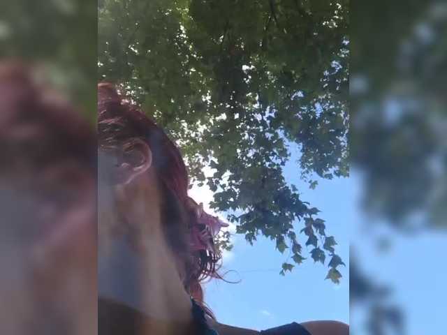 WildVixen
